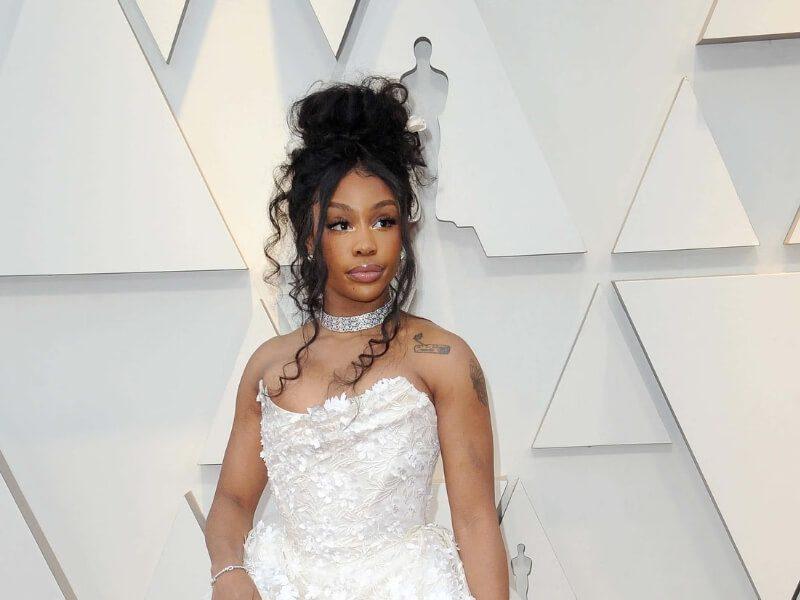 SZA Hairstyles Iconic Looks That Defined Her Style