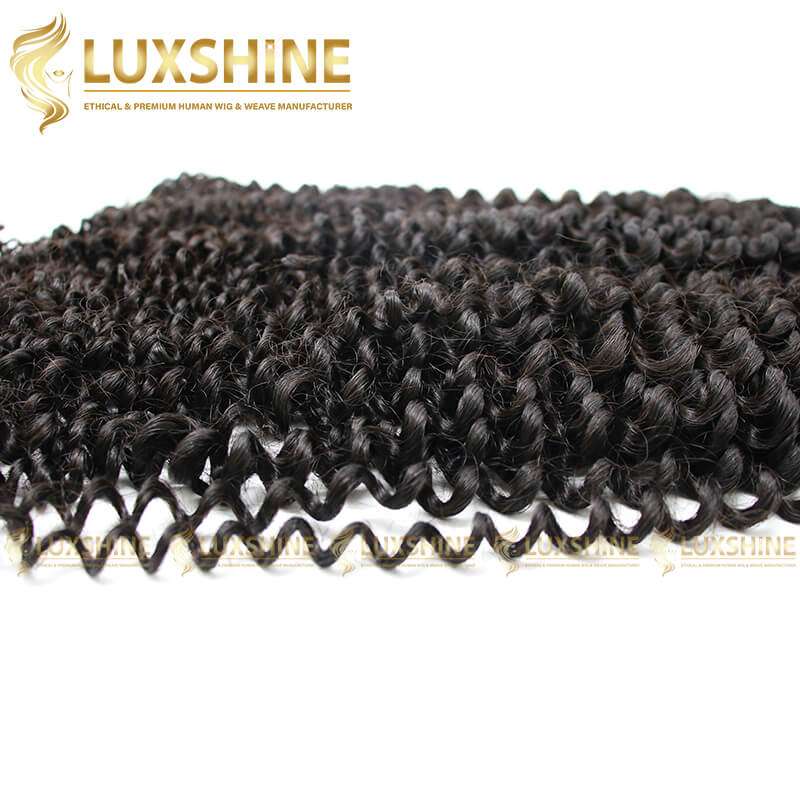 Luxshine 1 Deep Curly Weave 3
