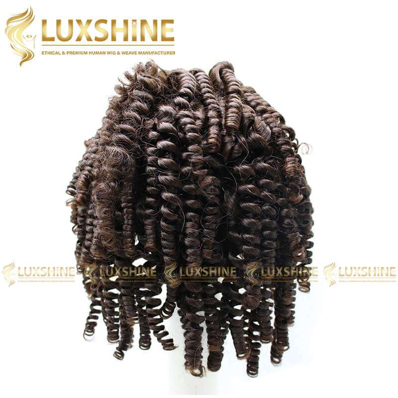 Luxshine 2 Kinky Curly Full Lace Wig 1