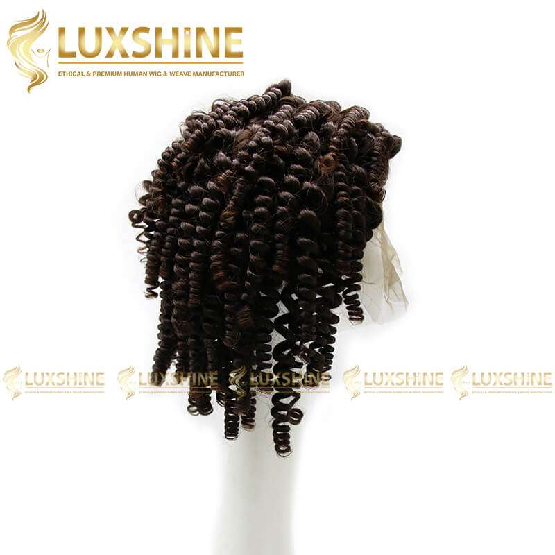 Luxshine 2 Kinky Curly Full Lace Wig 2