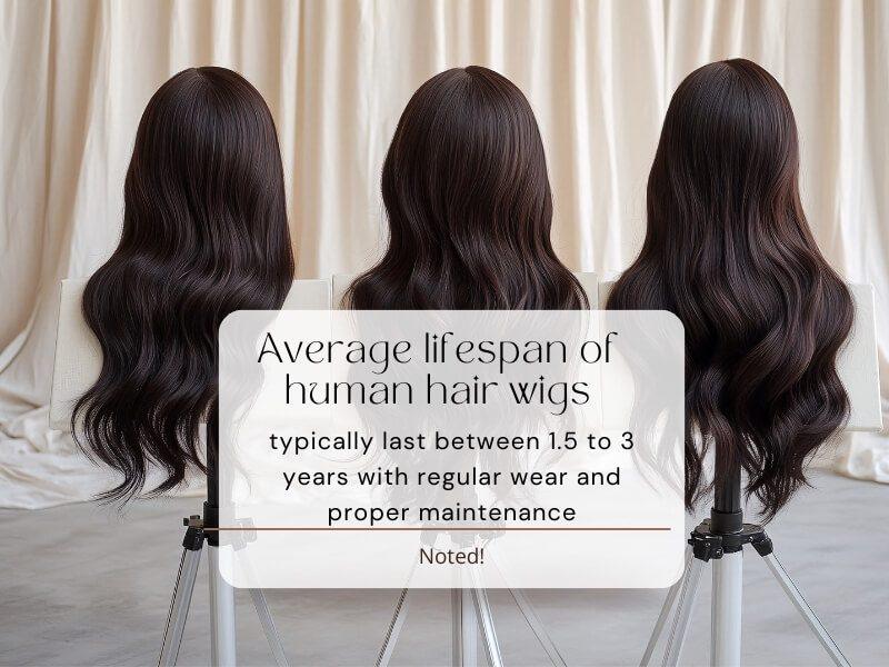 How long do human hair wigs last?