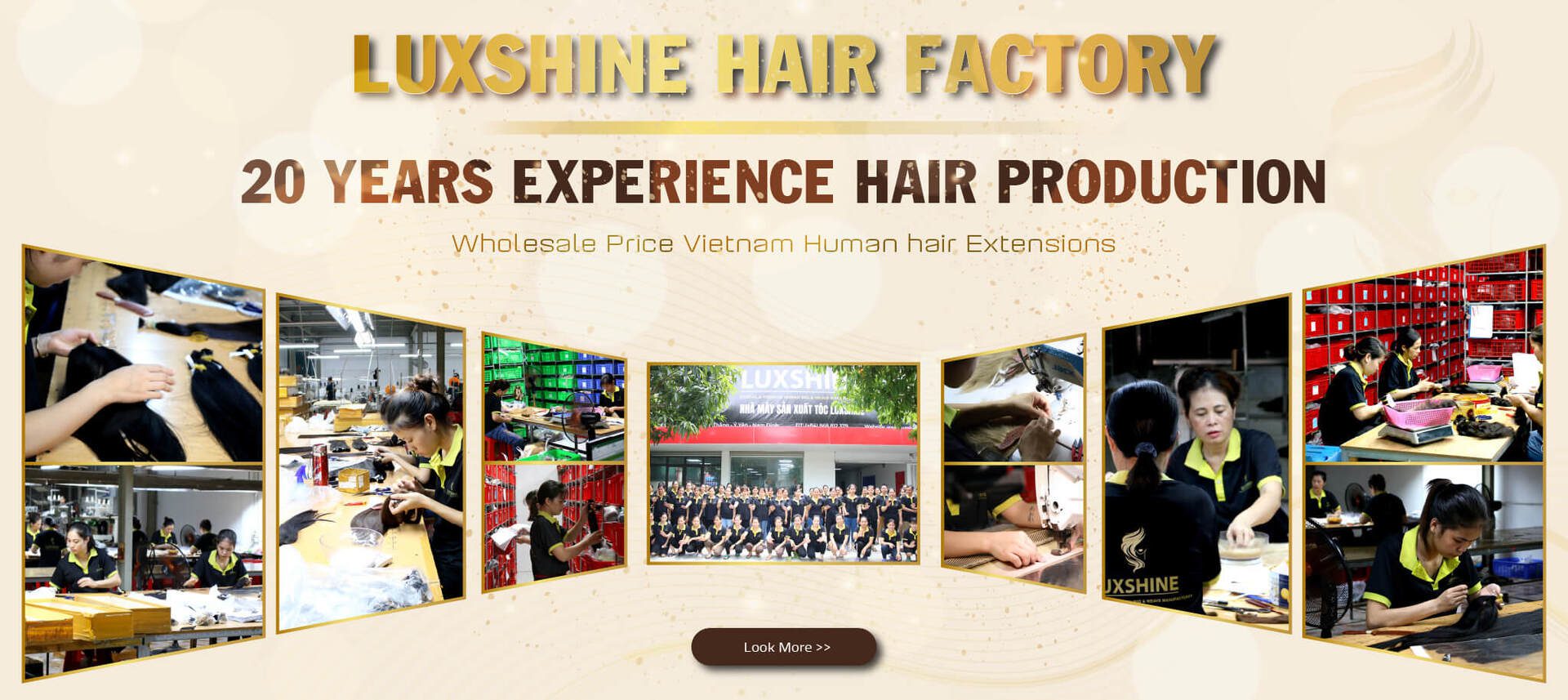 Banner Luxshine Hair Factory 20 Years Experience Hair Production PC