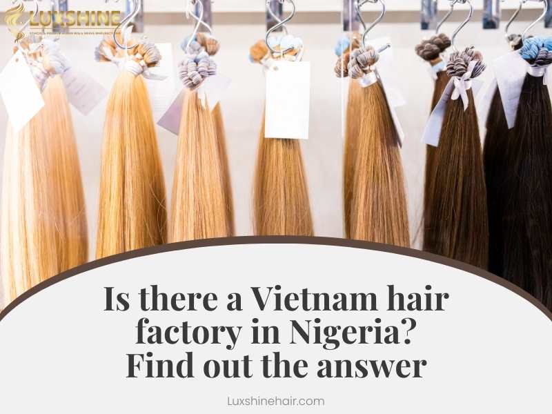 Vietnam Hair Factory In Nigeria