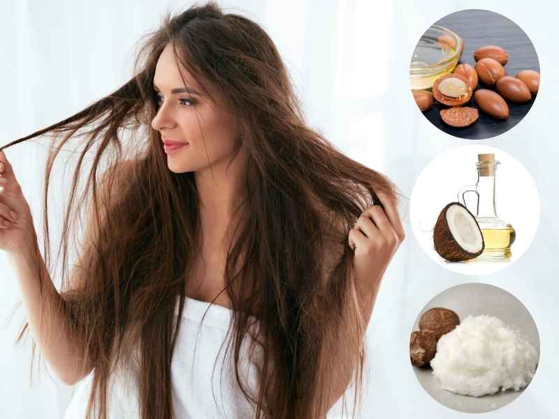 Moisturizing ingredients are good for dry hair