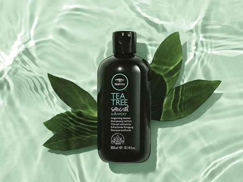 Paul Mitchell Tea Tree Special Shampoo