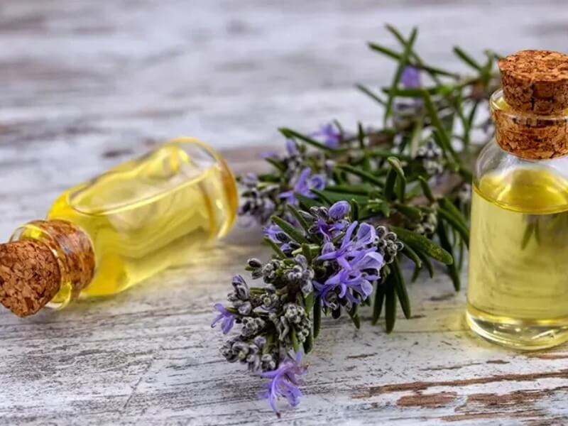 Rosemary oil is not only fragrant but also helpful for a healthy scalp