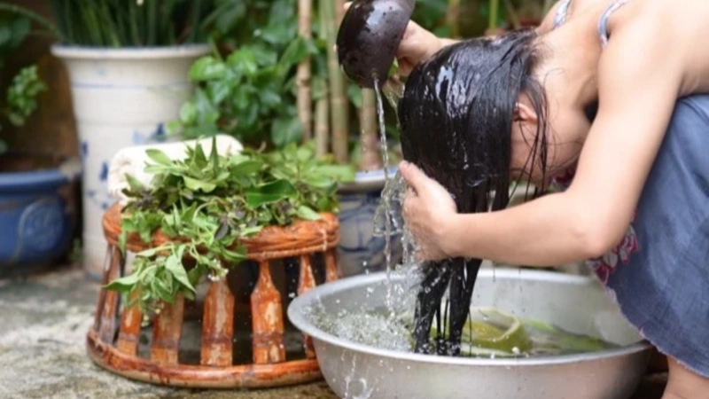 Traditional Vietnamese women rely on natural ingredients such as soapnut for hair care.