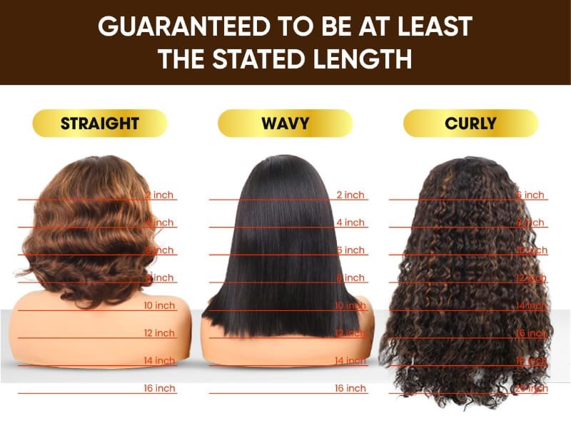 Hair length chart by hair type