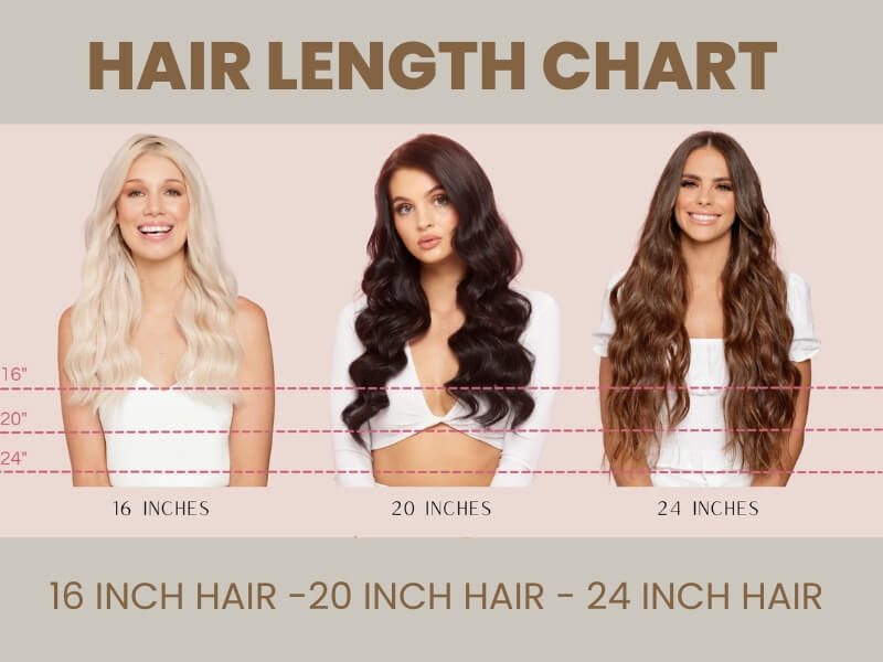 16 inch in hair length chart