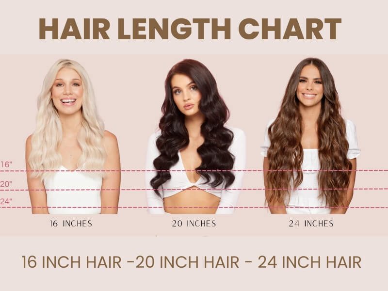 How long is 24 inch hair extensions in the hair length chart?