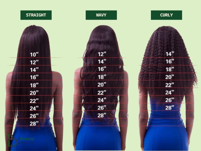 Weave Hair Length Chart 20 01 2025 1