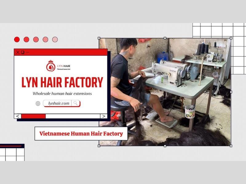 Best Vietnamese Hair Vendors 20 05 2025 10 - Luxshine Hair Lyn Hair factory