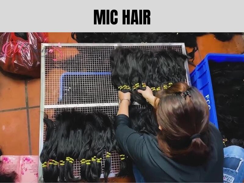Best Vietnamese Hair Vendors 20 05 2025 17 - Luxshine Hair Mic Hair factory