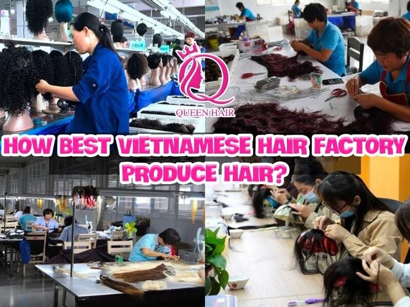 Best Vietnamese Hair Vendors 20 05 2025 19 - Luxshine Hair Queen Hair factory
