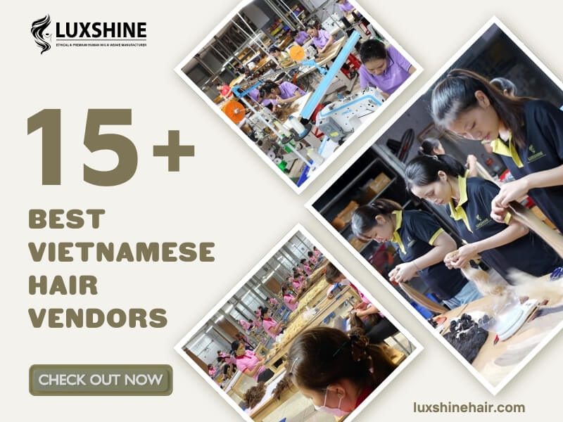 Best Vietnamese Hair Vendors 20 05 2025 - Luxshine Hair Best Vietnamese Hair Vendors