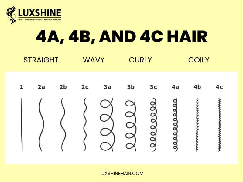 What is 4C hair Differences between 4A 4B and 4C hair - Luxshine Hair What is 4C hair