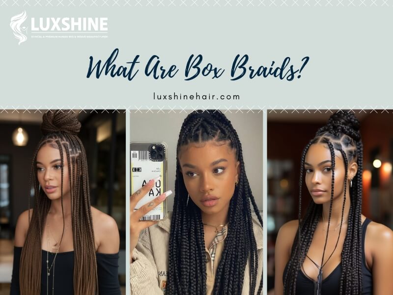 What Are Box Braids - Luxshine Hair What Are Box Braids