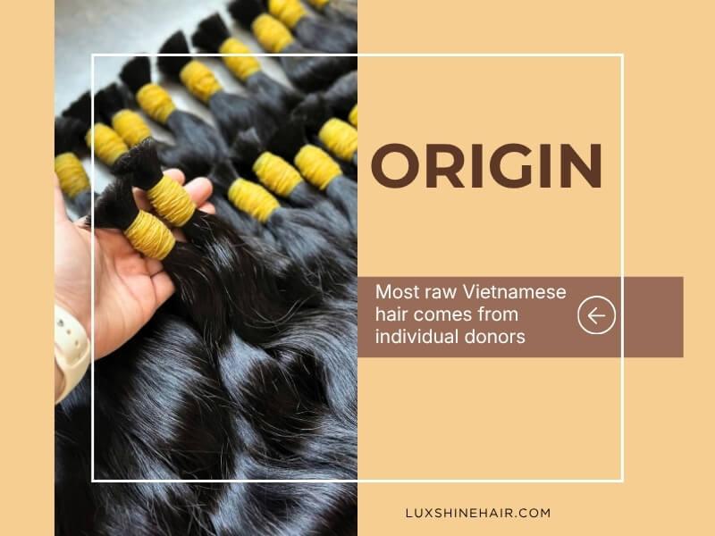 Vietnamese hair is collected primarily from women living in rural areas of Vietnam