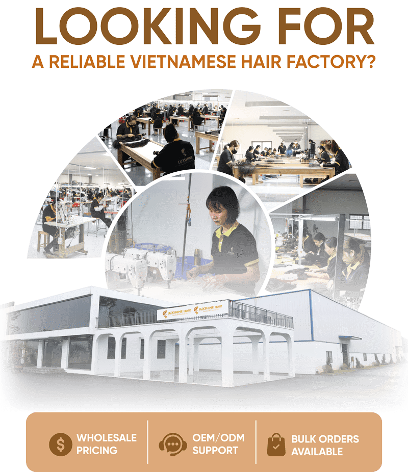 Finding for reliable vietnamese hair factory - popup - wholesale page - Luxshine