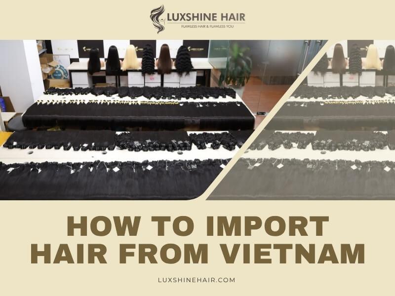 How to Import Hair from Vietnam: The Real Insider Guide