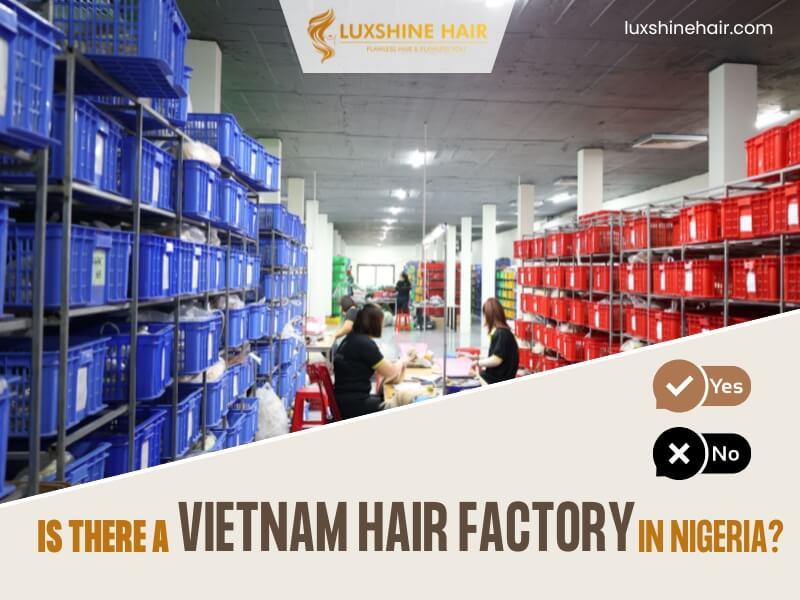Is there a Vietnamese hair factory in Nigeria? The truth.