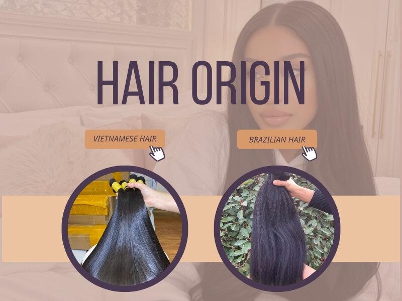 Vietnamese Hair vs Brazilian Hair 25 06 2026 1 - Luxshine Hair Hair origin between Vietnamese hair vs Brazilian hair