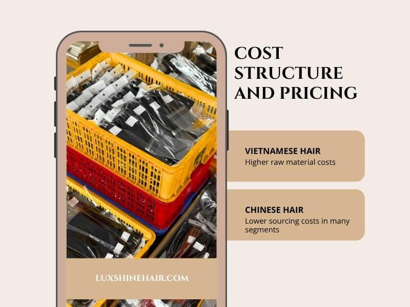 Vietnamese Hair vs Chinese Hair 15 06 2026 9 - Luxshine Hair Why do prices differ between Vietnamese hair vs Chinese hair?
