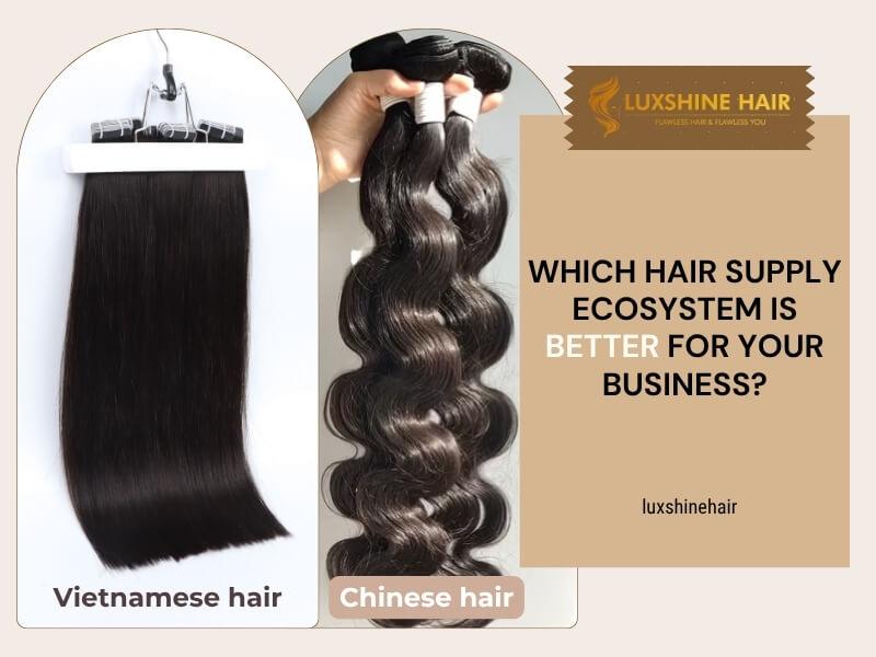 Vietnamese Hair vs Chinese Hair