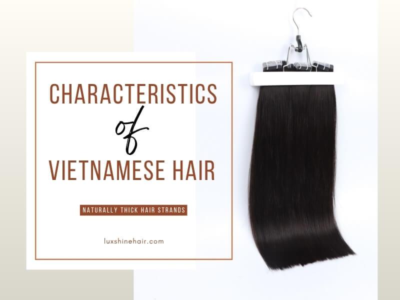 Vietnamese hair is thicker, smoother, and less prone to tangling. 