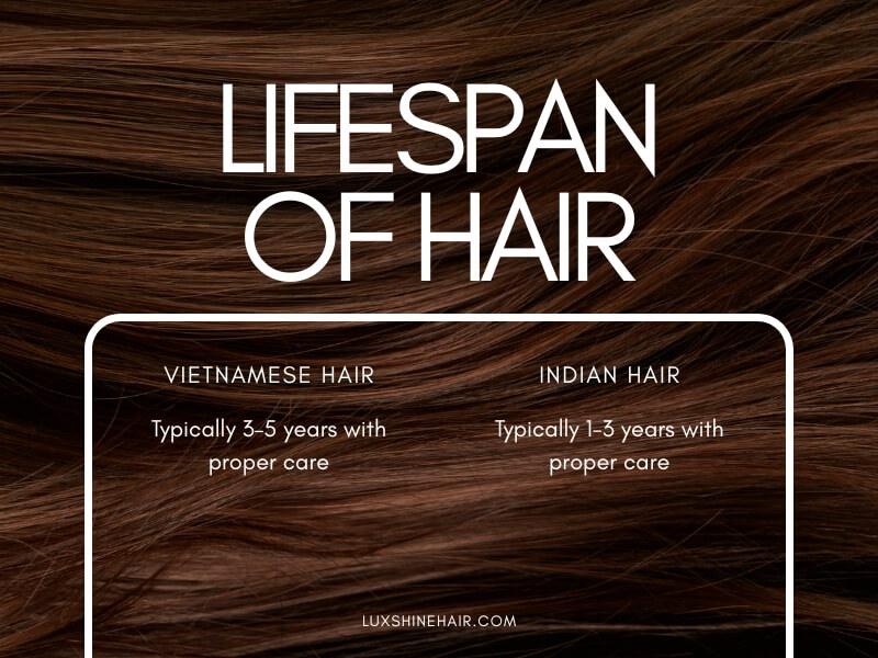 Indian hair vs Vietnamese hair: Which lasts longer? 