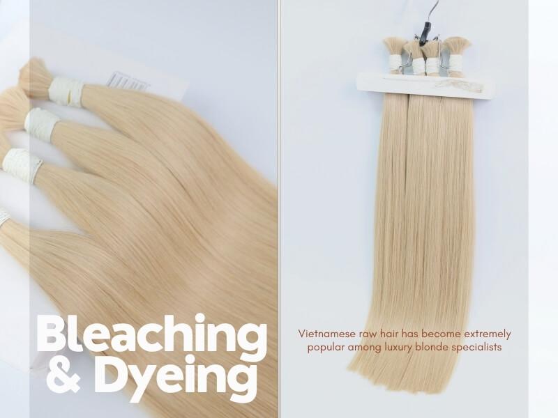 Bleaching and dyeing ability of Vietnamese hair