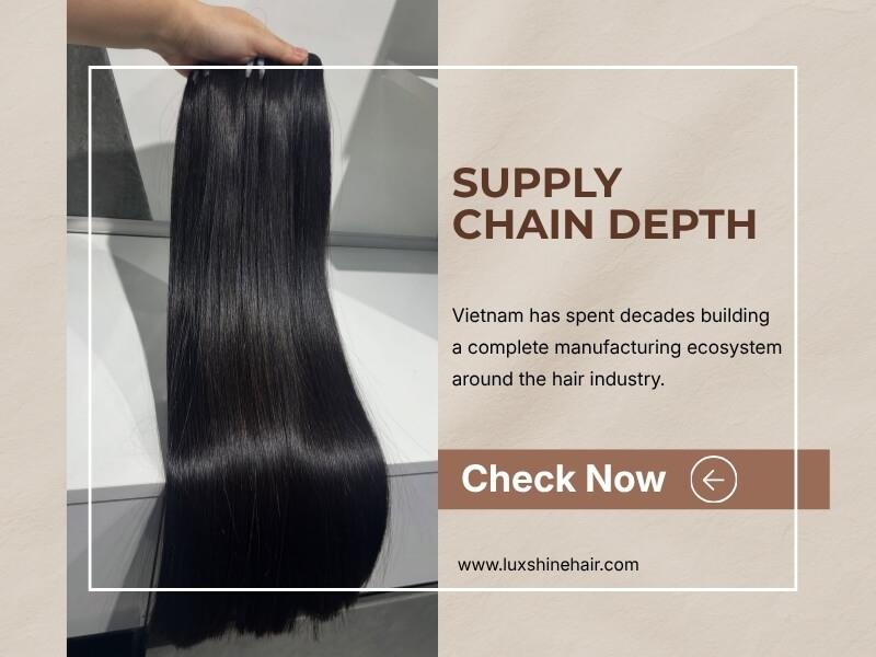 Cambodian Hair vs Vietnamese Hair vs Burmese Hair 22 07 2026 3 - Luxshine Hair Vietnam has a large supply chain depth