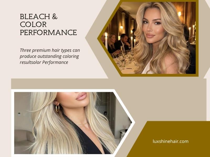 Cambodian Hair vs Vietnamese Hair vs Burmese Hair 22 07 2026 6 - Luxshine Hair Burmese vs Vietnamese hair vs Cambodian hair can produce outstanding coloring results