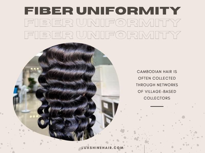 Cambodian Hair vs Vietnamese Hair vs Burmese Hair 22 07 2026 7 - Luxshine Hair Comparison of donor consistency and strand grading across different sourcing systems