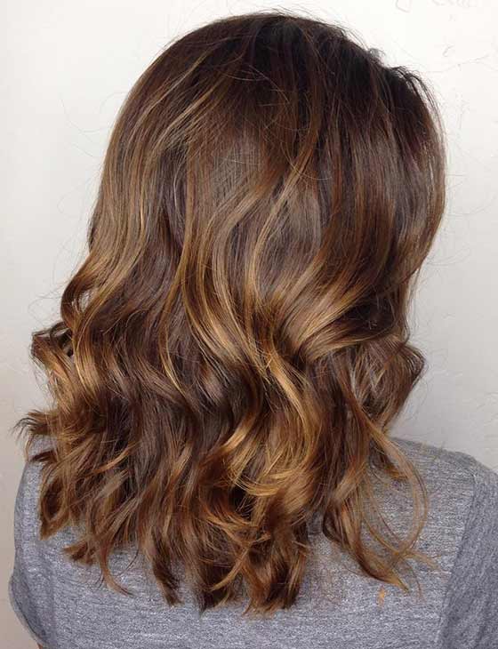 Chocolate brown with honey blonde