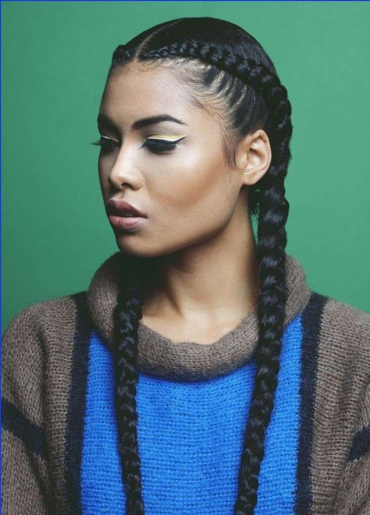 Two Braids with Weave Hairstyles 2