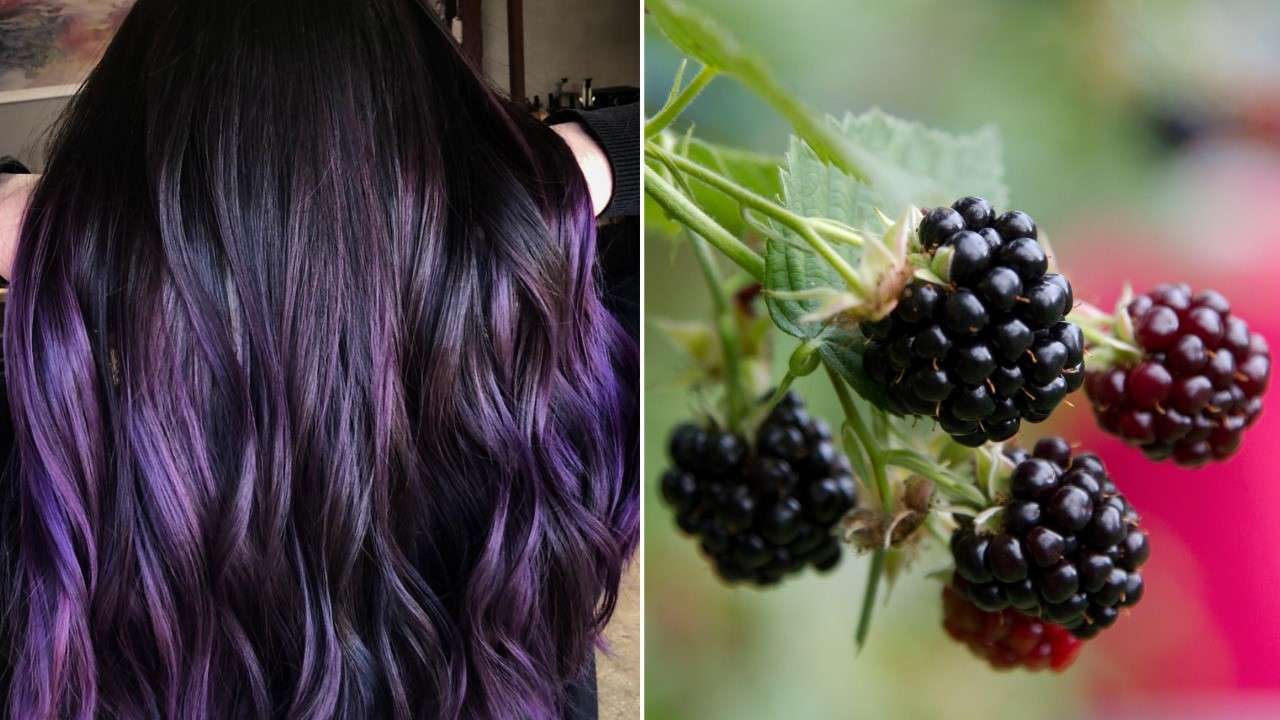 black berry hair style