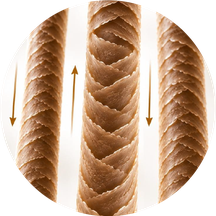 Illustration of non-Remy hair: cuticles running in opposite directions