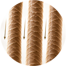 Illustration of Remy hair: cuticles intact and running in one direction