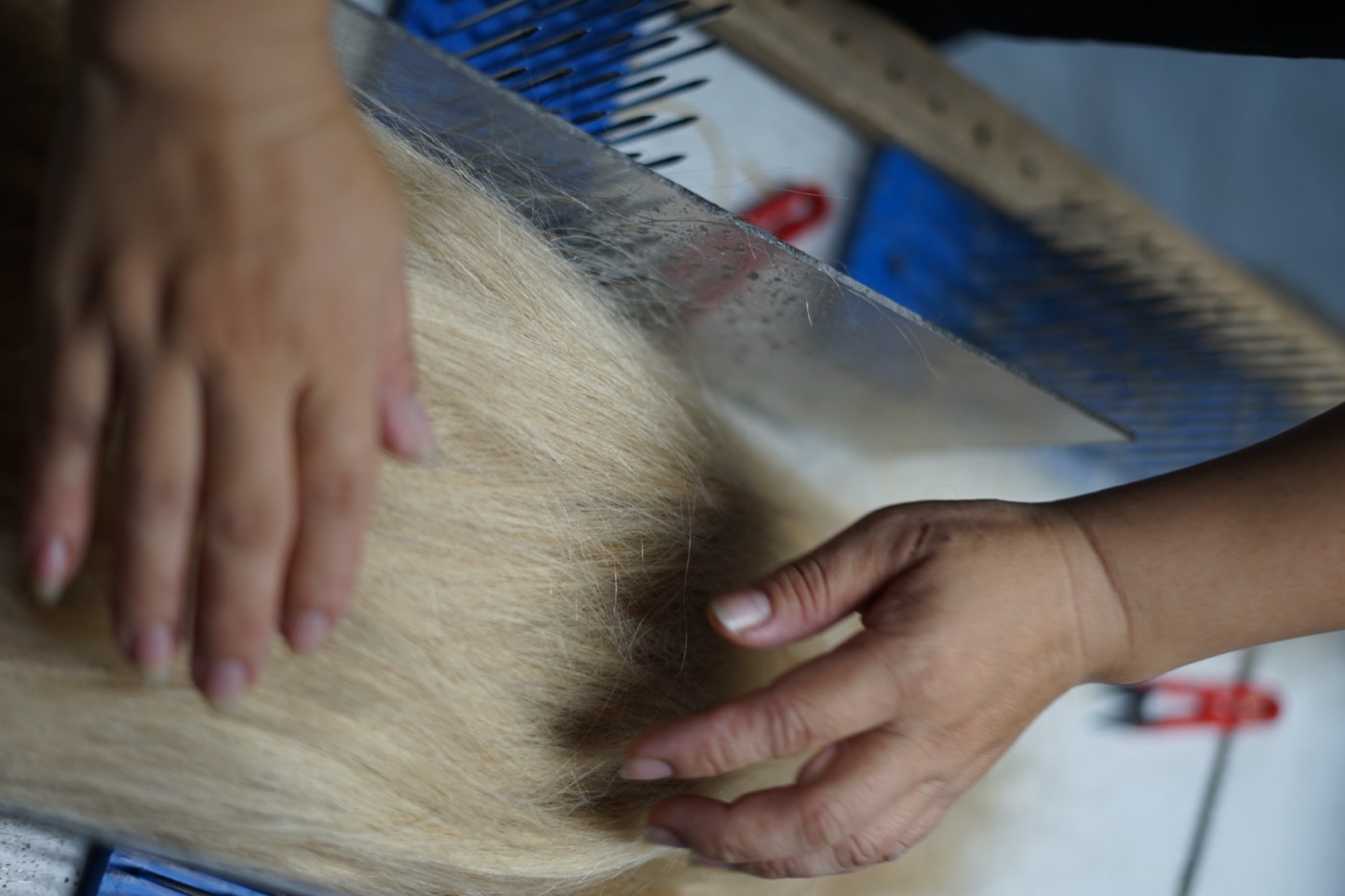 Hands sorting raw hair through a hackle